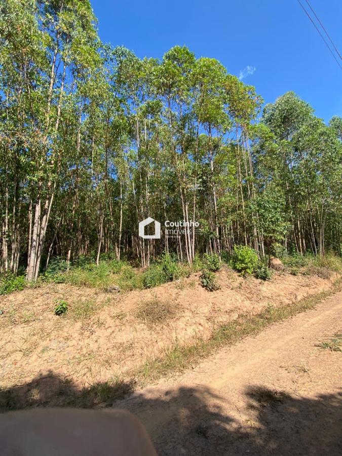 WhatsApp Image 2026-04-30 at 07.00.43 (1).jpeg